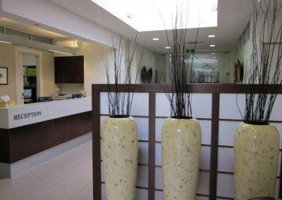 Classic office Shoji project
