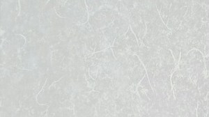 Japan Rice Polycarbonate insert panel