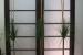 Modern+-+Window